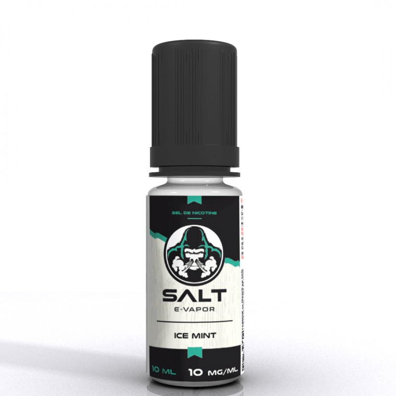 E-liquide Ice Mint Salt E Vapor